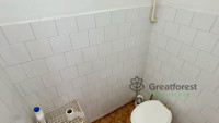 Debrecen, Close To Main Campus, room  