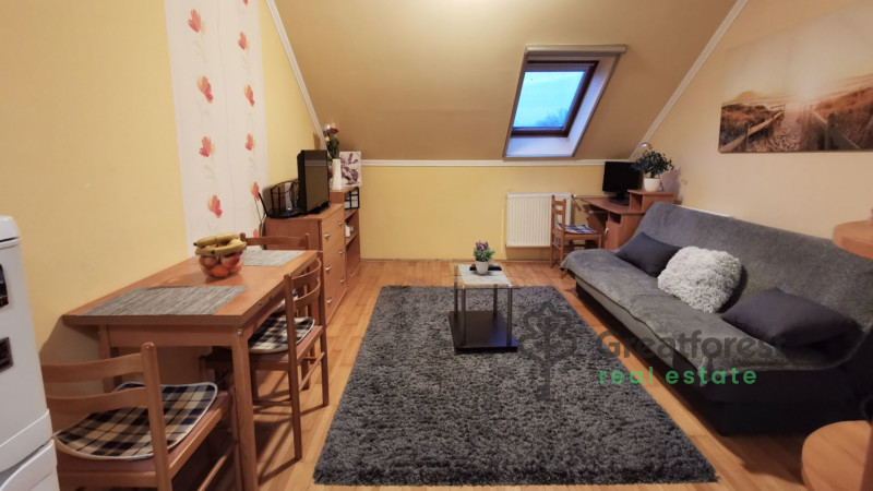 Debrecen, Close To Engineering, flat  