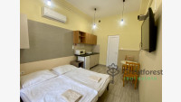 Debrecen, City Center, flat  