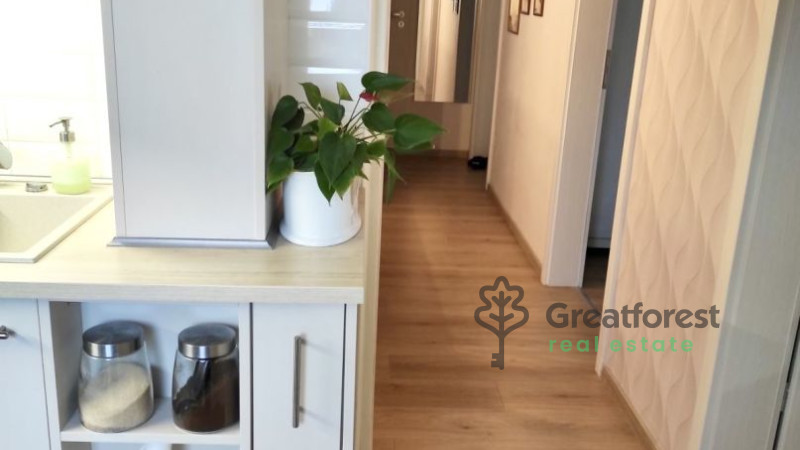 Debrecen, Close To Main Campus Agricult. Unversity, block of flats  