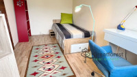 Debrecen, Close To City Center, flat  