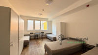 Debrecen, Close To Tesco Area, pension  
