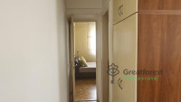 Debrecen, Greatforest Area, flat  