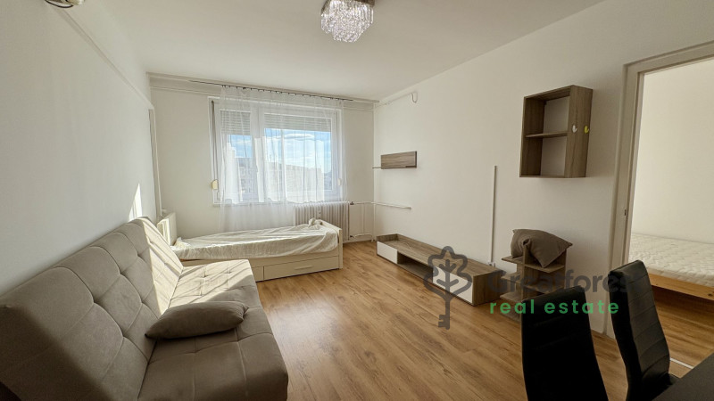 Debrecen, Kassai Campus Area, block of flats  