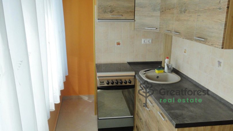 Debrecen, Close To Main Campus, flat  