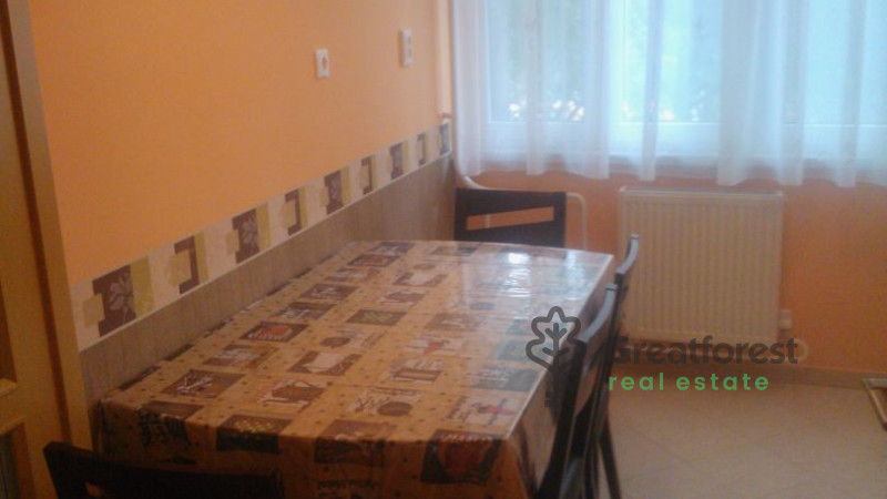 Debrecen, Close To Main Campus, flat  