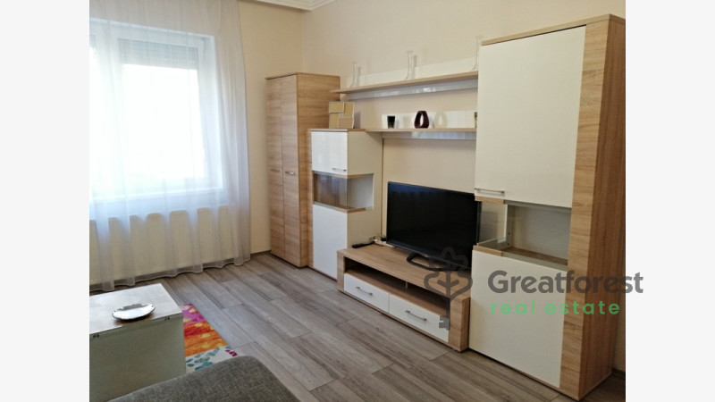 Debrecen, City Center, flat  