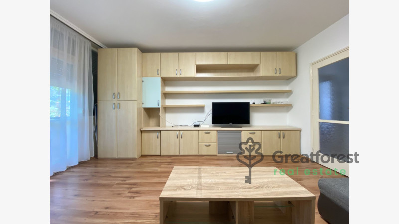 Debrecen, Close To Main Campus, flat  