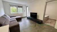Debrecen, Close To Main Campus, flat  