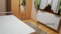 Debrecen, Close To Main Campus, flat  