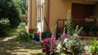 Debrecen, Close To Main Campus, flat  