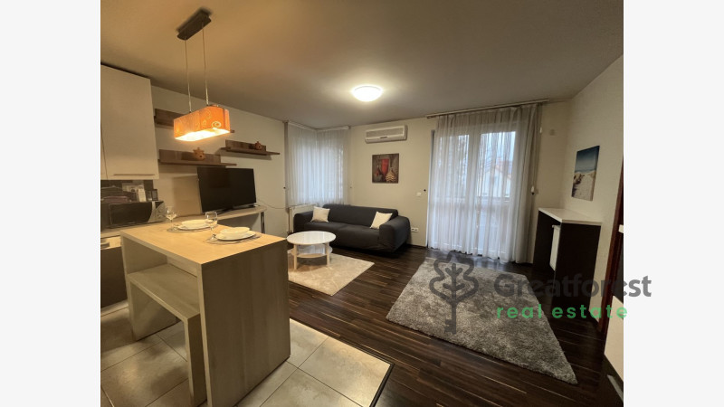 Debrecen, Greatforest Area, flat  