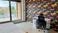 Debrecen, City Center, flat  