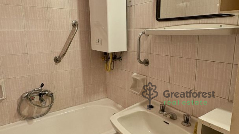 Debrecen, Greatforest Area, flat  