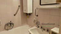 Debrecen, Greatforest Area, flat  