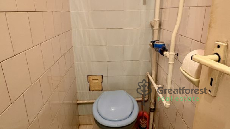 Debrecen, Greatforest Area, flat  