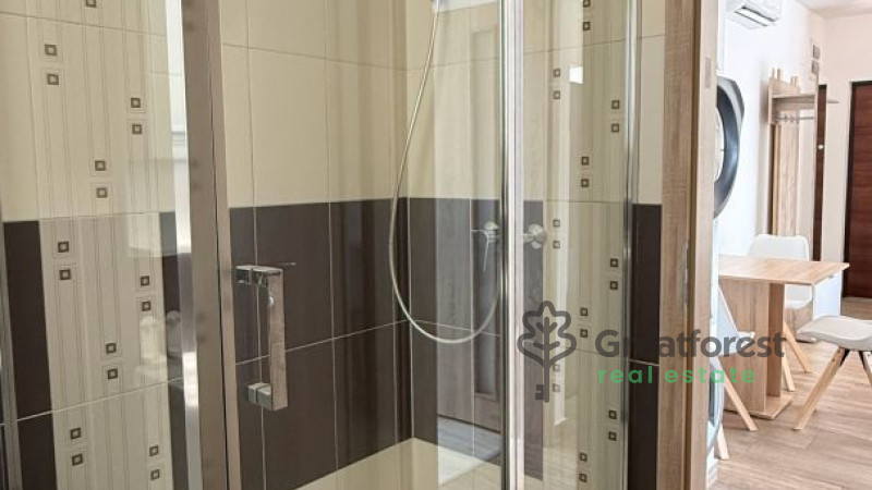 Debrecen, Close To Main Campus Agricult. Unversity, flat  