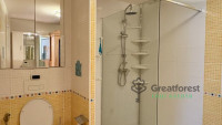 Debrecen, City Center, flat  