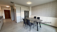 Debrecen, City Center, flat  
