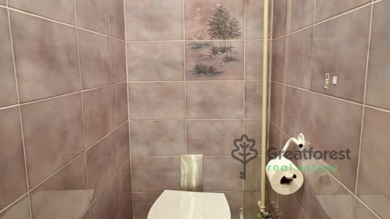 Debrecen, Greatforest Area, flat  