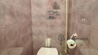 Debrecen, Greatforest Area, flat  