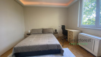 Debrecen, Bem Square, flat  