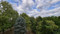 Debrecen, Close To Main Campus, flat  