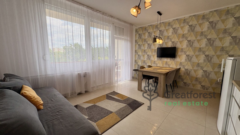 Debrecen, Close To Main Campus, flat  