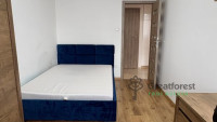 Debrecen, Close To Main Campus, flat  