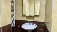 Debrecen, Close To Bem Square, flat  