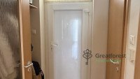 Debrecen, City Center, flat  