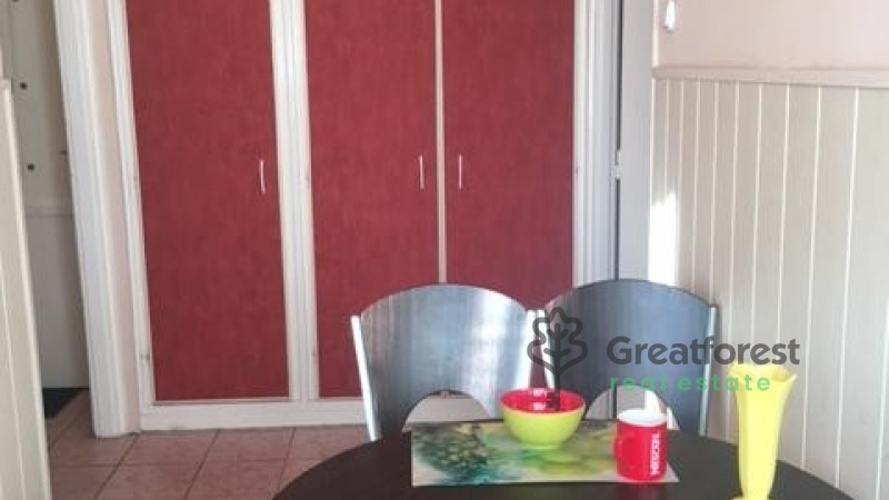 Debrecen, Close To Main Campus, flat  