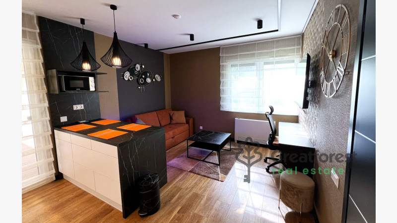 Debrecen, Close To Main Campus, flat  