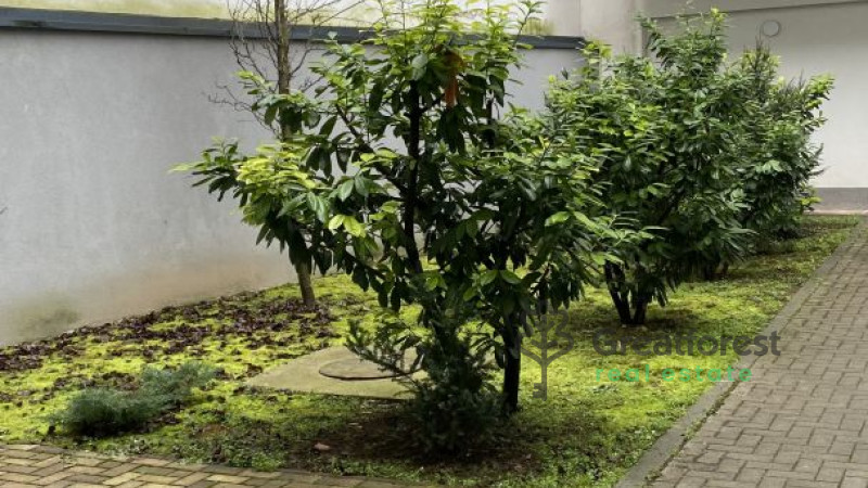 Debrecen, City Center, flat  