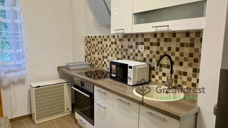 Debrecen, Greatforest Area, flat  