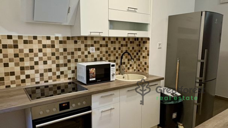 Debrecen, Greatforest Area, flat  