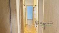 Debrecen, Greatforest Area, flat  
