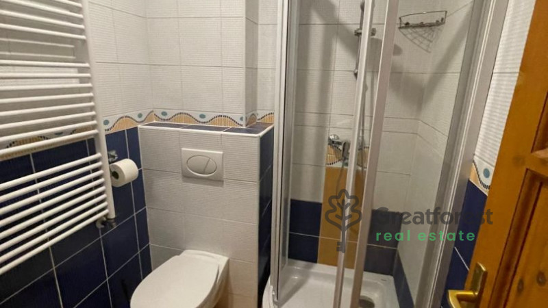 Debrecen, Greatforest Area, flat  