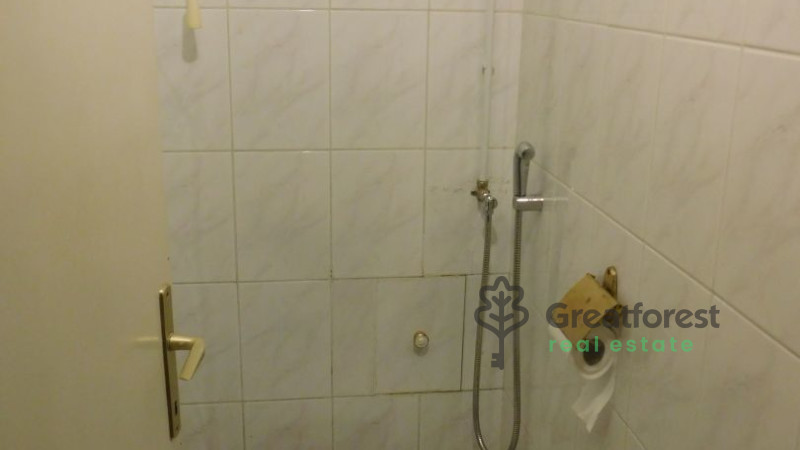 Debrecen, Greatforest Area, flat  