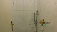 Debrecen, Greatforest Area, flat  