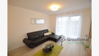 Debrecen, Main Campus Area, flat  