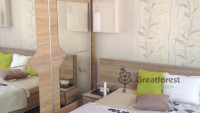 Debrecen, Greatforest Area, flat  