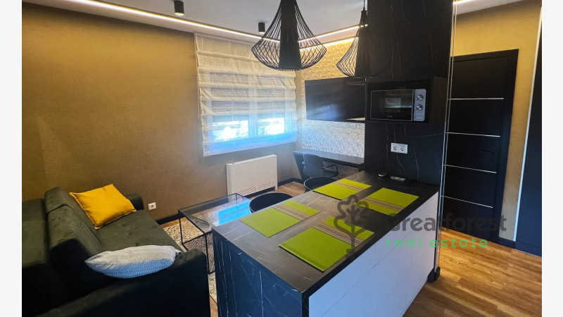 Debrecen, Close To Main Campus, flat  