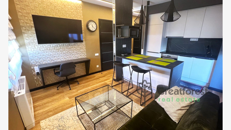 Debrecen, Close To Main Campus, flat  