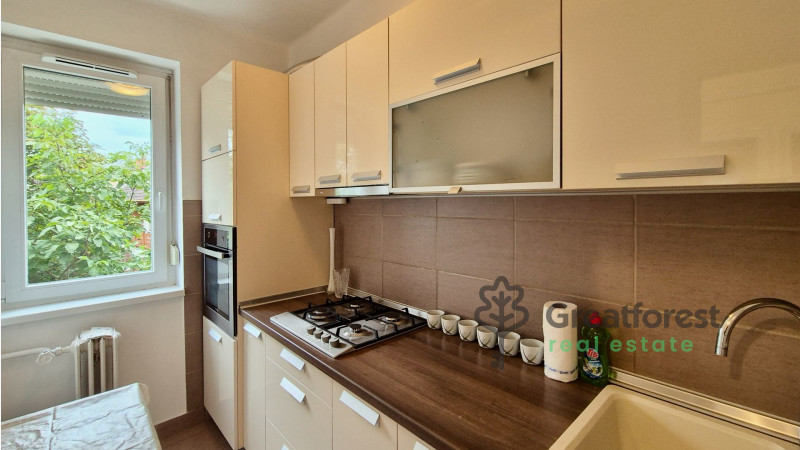 Debrecen, Greatforest Area, flat  