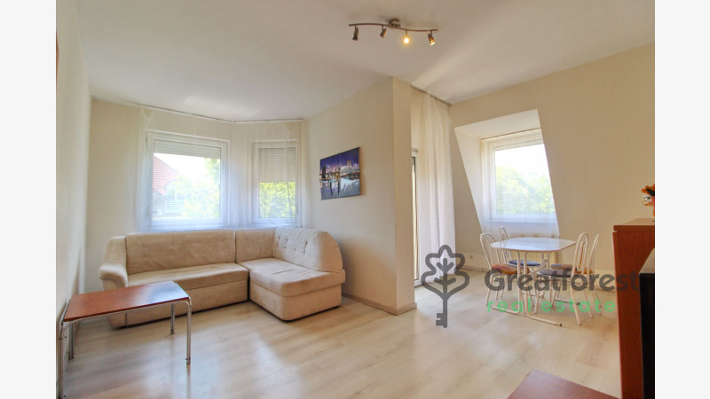 Debrecen, Close To Main Campus, flat  