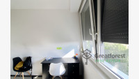 Debrecen, City Center, flat  