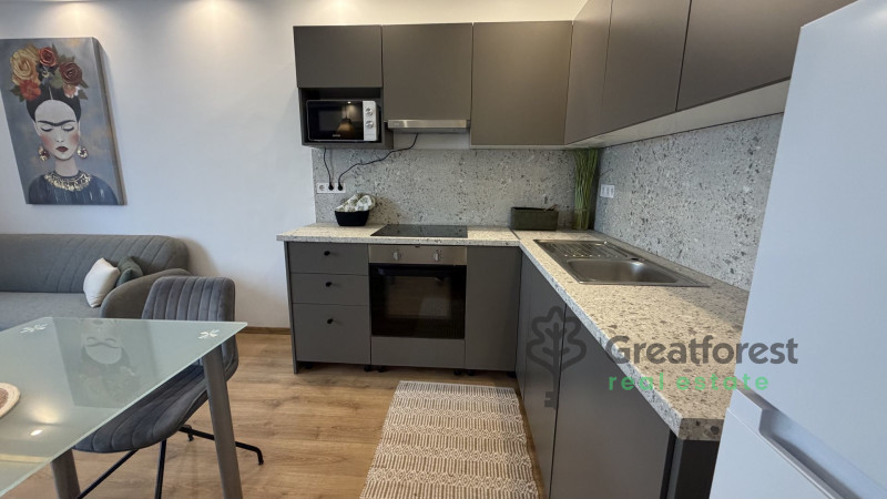 Debrecen, Greatforest Area, flat  