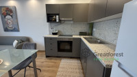 Debrecen, Greatforest Area, flat  