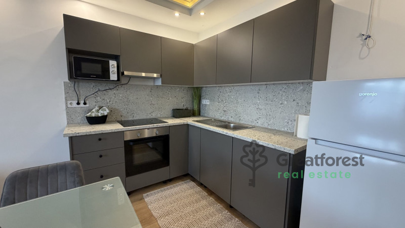 Debrecen, Greatforest Area, flat  